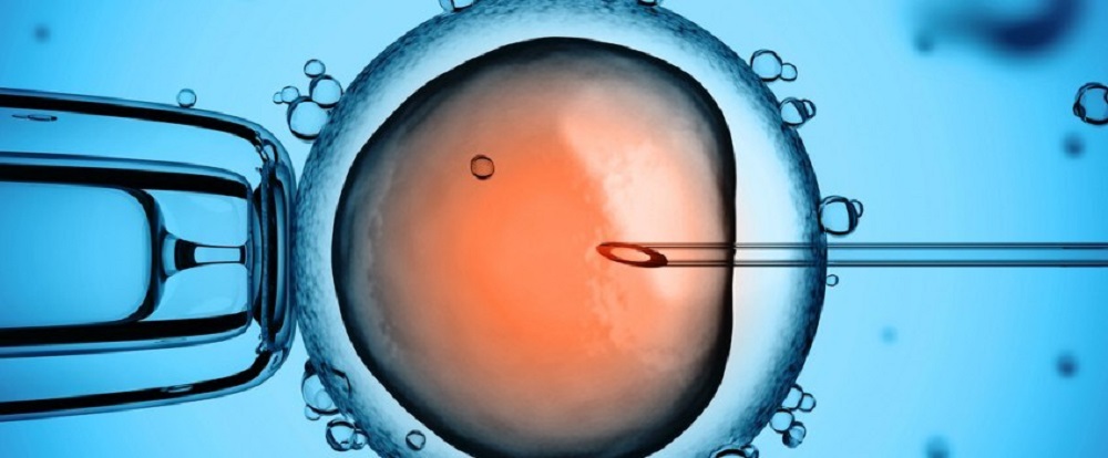 embryo adoption program in ahmedabad